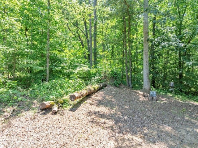 586 Old Bushmill Rd, Bremen, GA 30110 - view of wooded area
