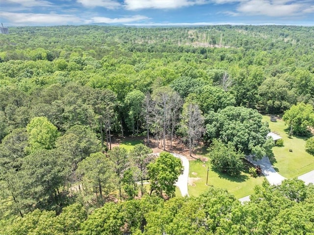 586 Old Bushmill Rd, Bremen, GA 30110 - aerial overview of property's location with a heavily wooded area