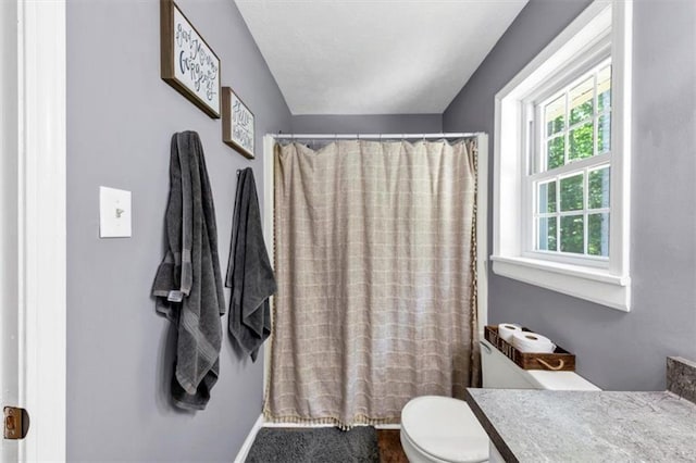 586 Old Bushmill Rd, Bremen, GA 30110 - bathroom featuring toilet, vanity, and curtained shower