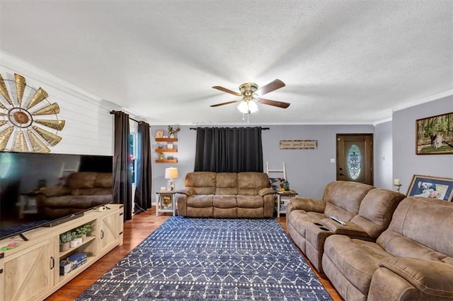 586 Old Bushmill Rd, Bremen, GA 30110 - living room featuring ornamental molding, wood finished floors, ceiling fan, and a textured ceiling