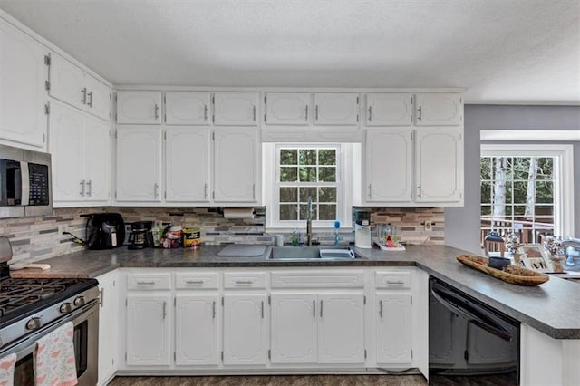 586 Old Bushmill Rd, Bremen, GA 30110 - kitchen featuring appliances with stainless steel finishes, a sink, plenty of natural light, white cabinetry, and a textured ceiling