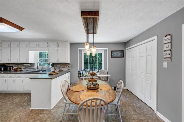 586 Old Bushmill Rd, Bremen, GA 30110 - dining space featuring a textured ceiling and baseboards
