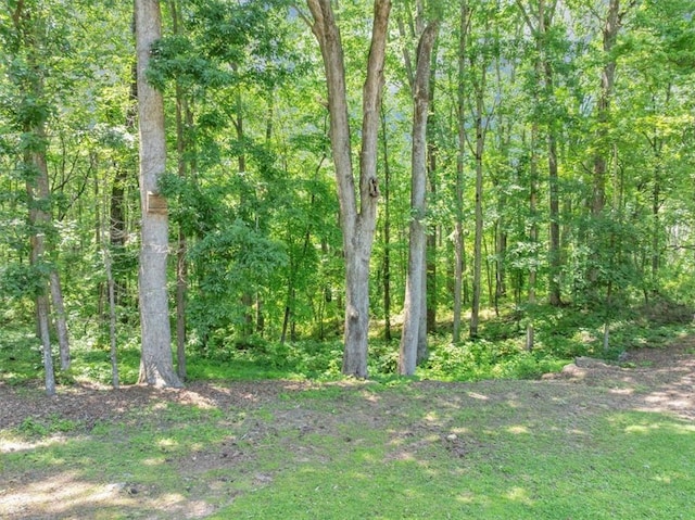 586 Old Bushmill Rd, Bremen, GA 30110 - view of tree filled area