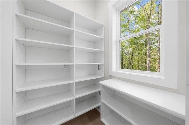 5990 Watermark Cv, Gainesville, GA 30506 - view of pantry