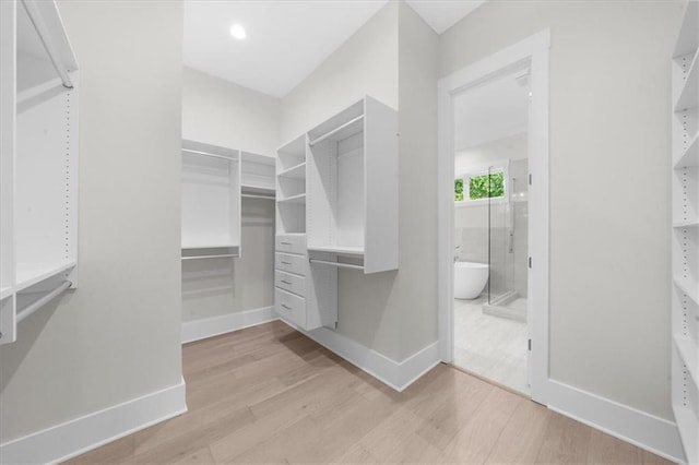5990 Watermark Cv, Gainesville, GA 30506 - walk in closet with wood finished floors