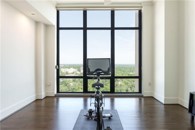 workout area featuring a wall of windows, dark wood finished floors, and baseboards