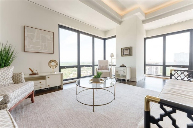 living area featuring wood finished floors