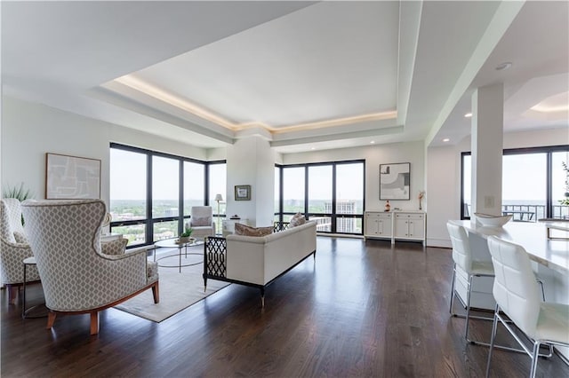 living area with recessed lighting, dark wood-type flooring, and a tray ceiling