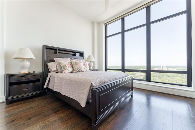 bedroom featuring dark wood-style floors