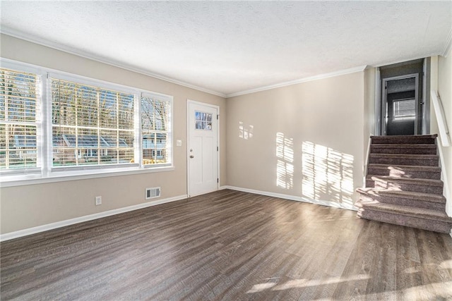 interior space with crown molding, a textured ceiling, and dark wood-type flooring