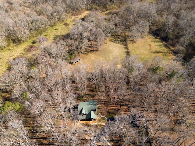 1225 Pitts Chapel, Newborn, GA 30056 - bird's eye view