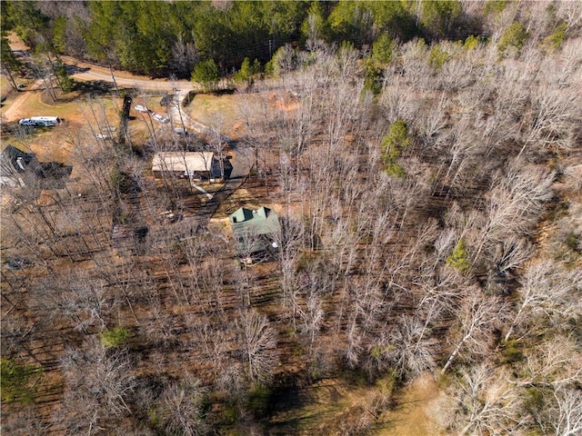 1225 Pitts Chapel, Newborn, GA 30056 - bird's eye view