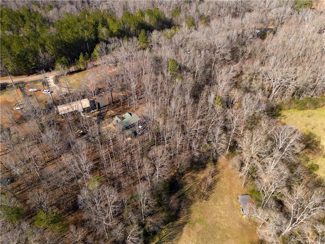 1225 Pitts Chapel, Newborn, GA 30056 - aerial view