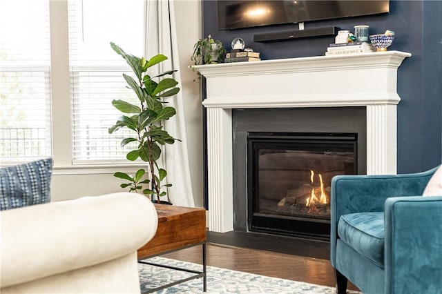 living area featuring wood finished floors and a glass covered fireplace