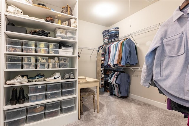 spacious closet featuring carpet flooring