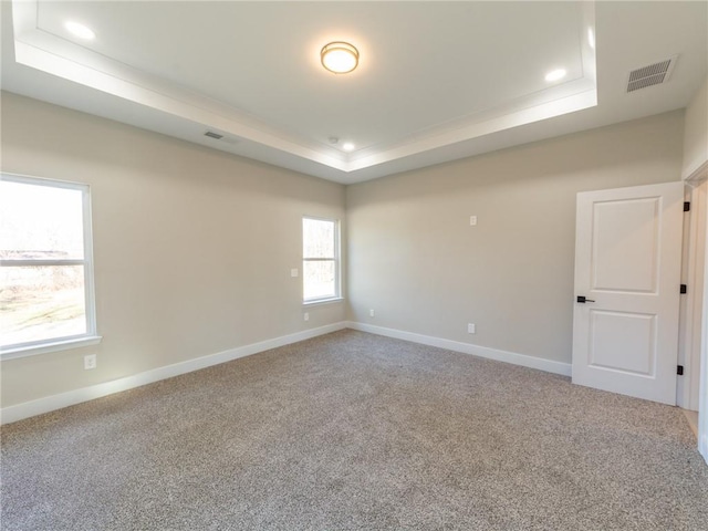 carpeted spare room with a raised ceiling