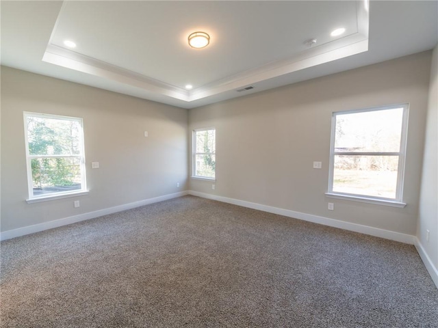 spare room featuring carpet, a healthy amount of sunlight, and a raised ceiling