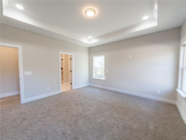 unfurnished room with carpet and a raised ceiling