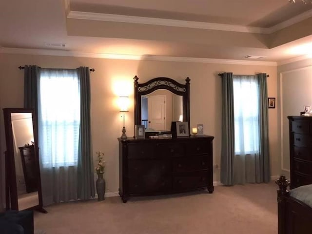 bedroom featuring ornamental molding, a raised ceiling, light carpet, and multiple windows