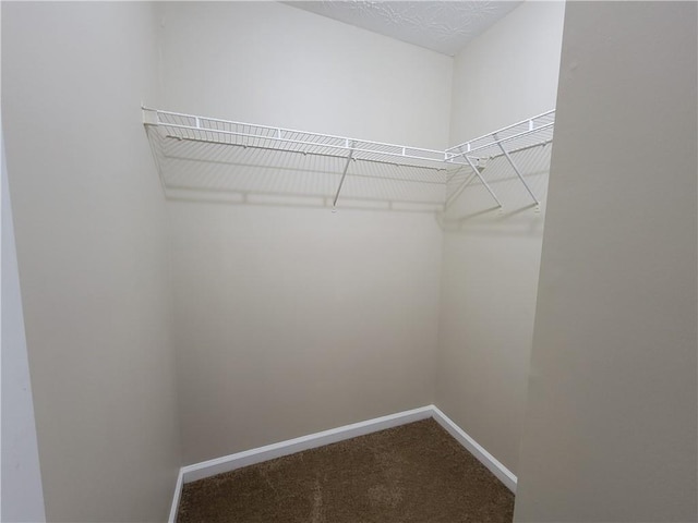 walk in closet with carpet