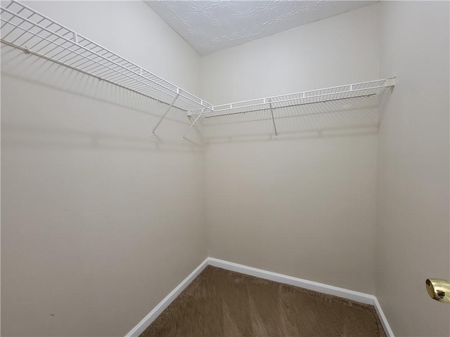 spacious closet featuring dark colored carpet