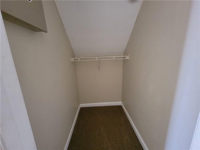 spacious closet with lofted ceiling and carpet flooring