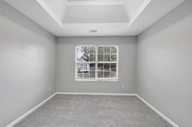 carpeted spare room featuring a raised ceiling