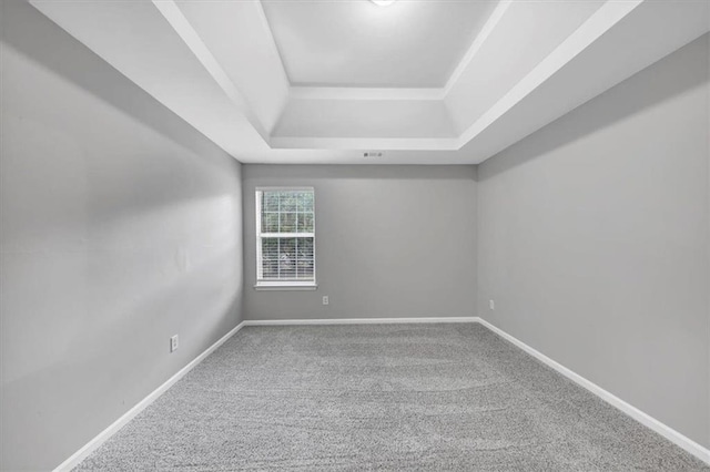 empty room with carpet flooring and a raised ceiling