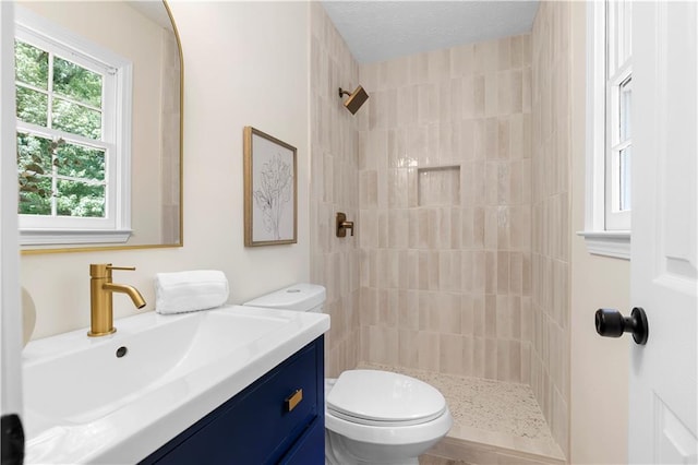6273 Oak Ridge Dr, Flowery Branch, GA 30542 - full bath with vanity, a tile shower, and toilet