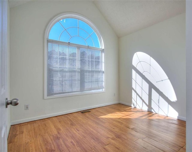 interior space featuring a healthy amount of sunlight, lofted ceiling, a textured ceiling, and light hardwood / wood-style flooring