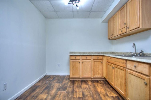 kitchen with a paneled ceiling, dark hardwood / wood-style floors, sink, and light brown cabinetry