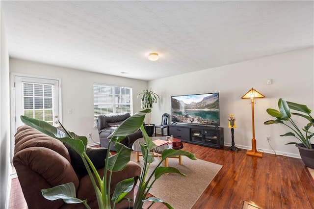 living room with hardwood / wood-style floors