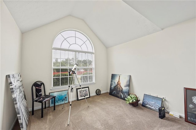 living area with vaulted ceiling and light colored carpet