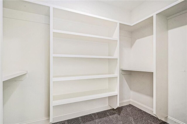 walk in closet with dark colored carpet