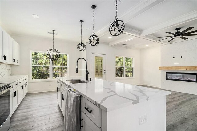 kitchen featuring sink, wood-type flooring, a kitchen island with sink, ceiling fan with notable chandelier, and appliances with stainless steel finishes