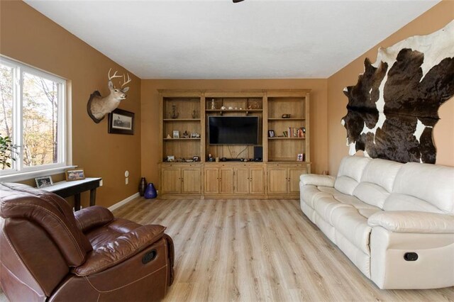 living room with built in shelves and light hardwood / wood-style floors