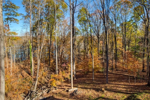 view of landscape