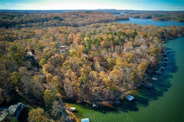 birds eye view of property featuring a view of trees and a water view