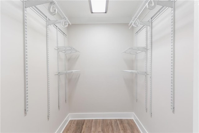 walk in closet featuring wood finished floors