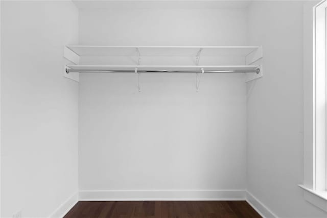 spacious closet with dark wood-type flooring