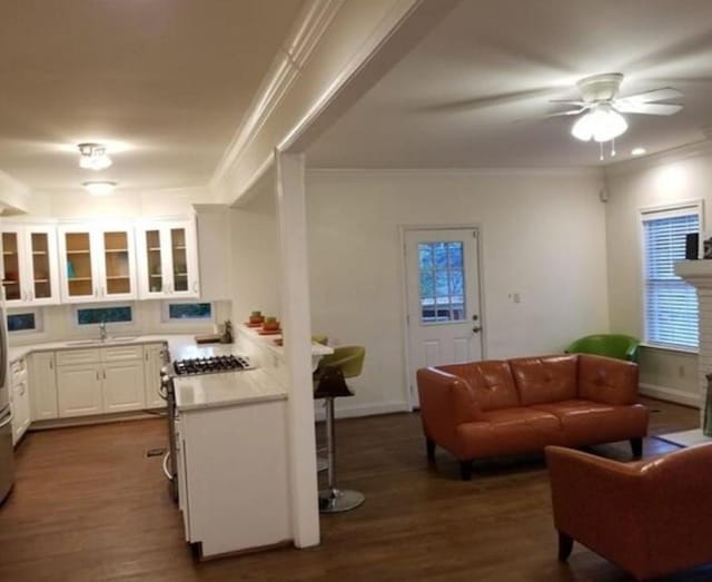 kitchen featuring ceiling fan, crown molding, dark hardwood / wood-style flooring, sink, and white cabinetry