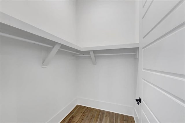 spacious closet with hardwood / wood-style floors