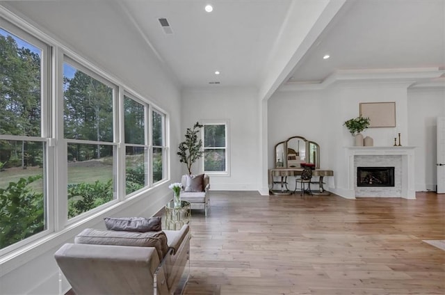 interior space featuring wood-type flooring, a wealth of natural light, and a premium fireplace