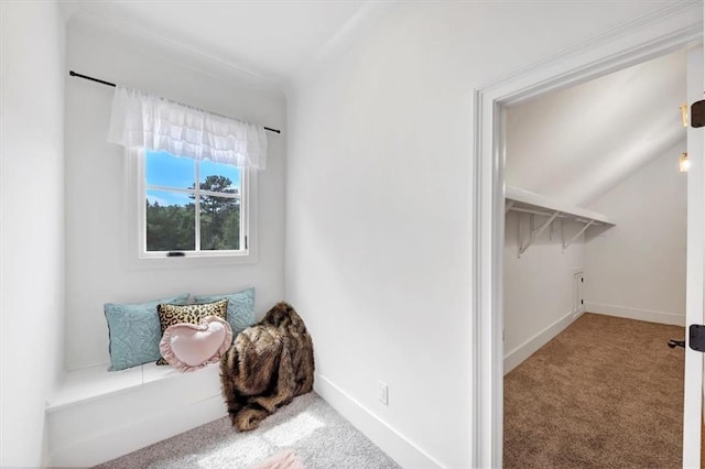 living area featuring lofted ceiling and carpet