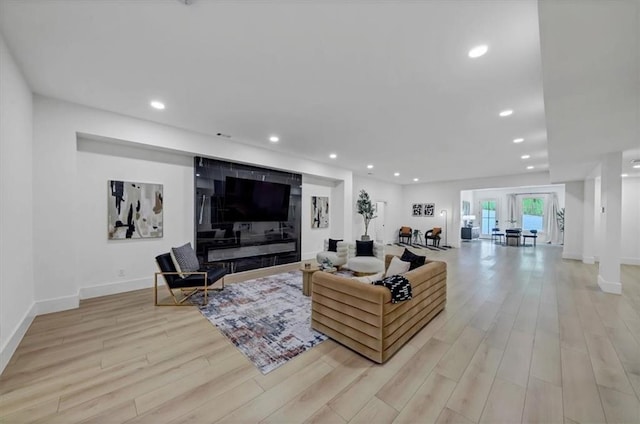 living room featuring light hardwood / wood-style flooring