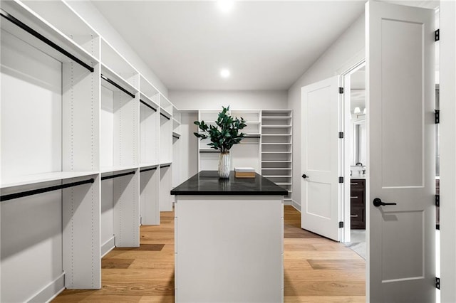 605 Claxton Ln, Milton, GA 30004 - walk in closet featuring light wood-style flooring