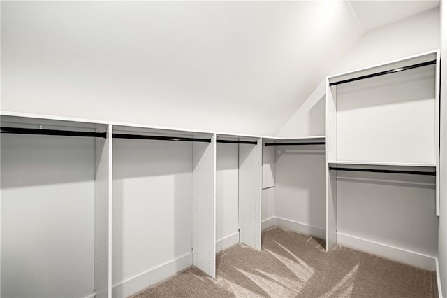 605 Claxton Ln, Milton, GA 30004 - spacious closet with lofted ceiling and carpet flooring