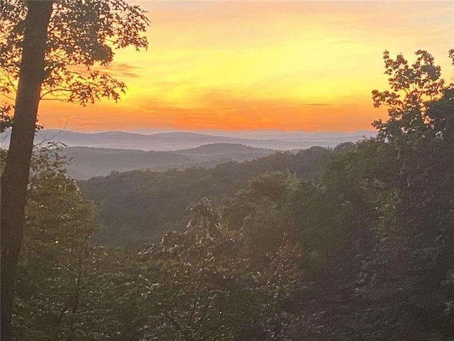 1363 Foxhound Trl, Ranger, GA 30734 - view of mountain backdrop with a forest
