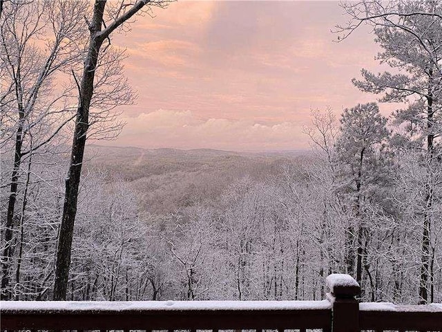 1363 Foxhound Trl, Ranger, GA 30734 - view of mountain background
