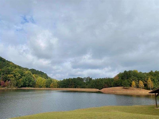 1363 Foxhound Trl, Ranger, GA 30734 - water view with a heavily wooded area
